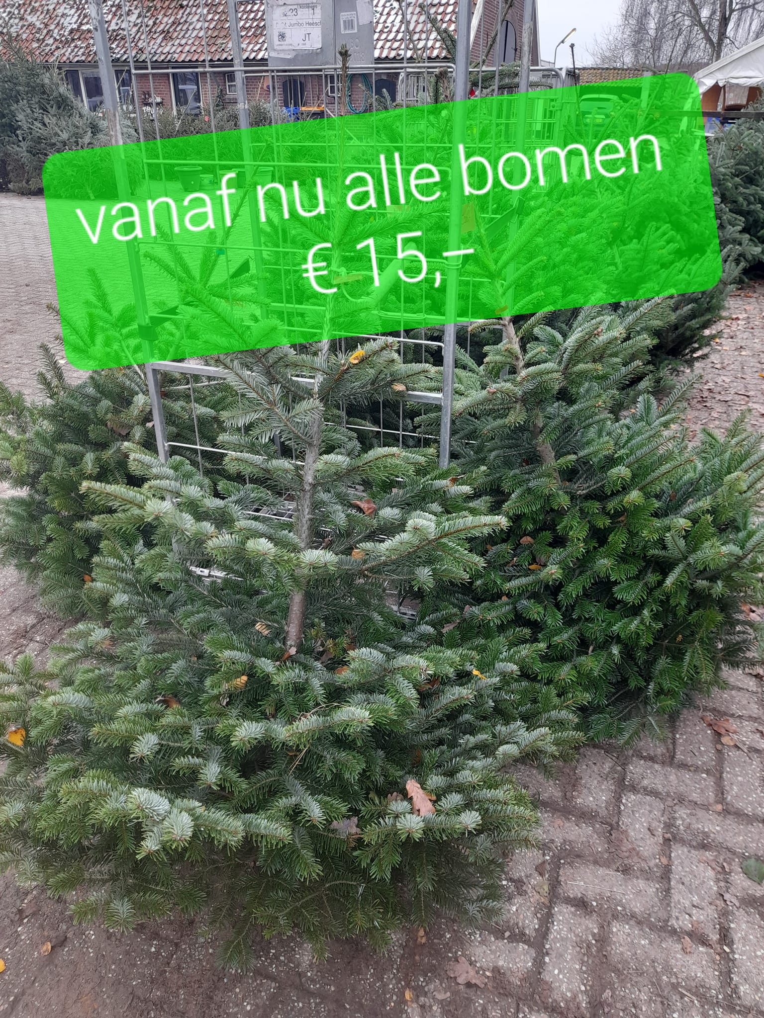Alle Kerstbomen nu 15 euro bij Boerderijwinkel Lensink Aardappelen Aalten